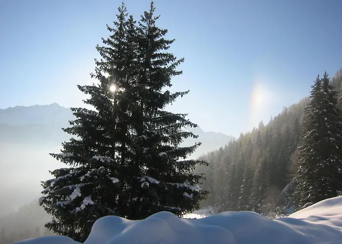 Laerchenhof بيت ضيافة 3*