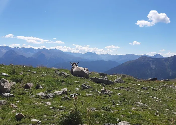 Laerchenhof بيت ضيافة 3*